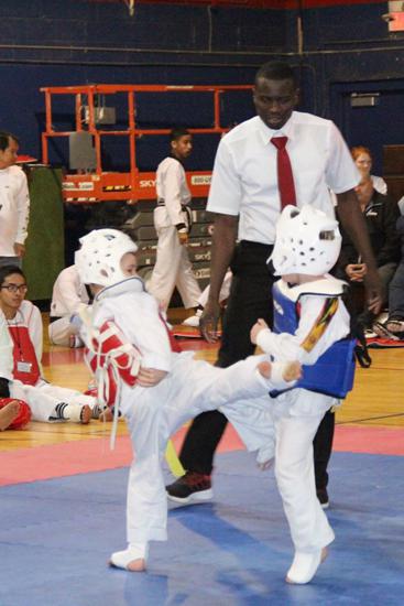 Taekwondo 9