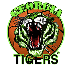 ga tigers logo.webp