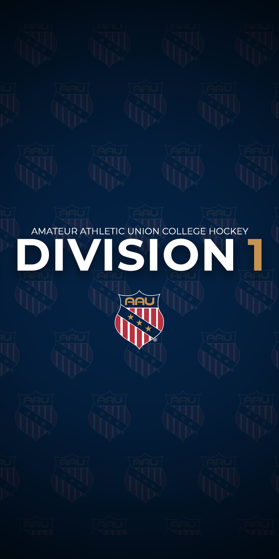 Division 1