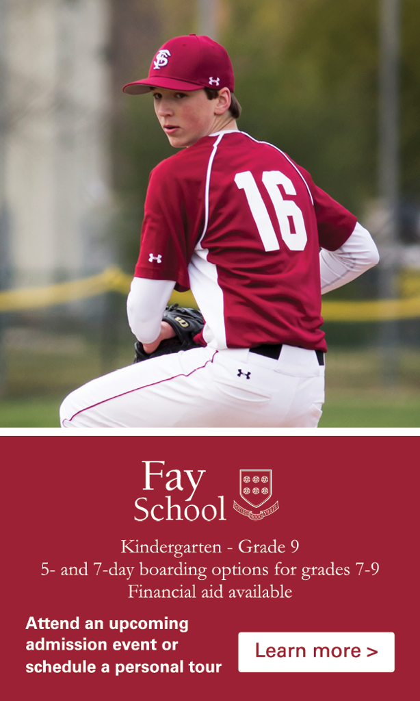 NEAAU_Baseball_Ad_300x500_outlines_large.png