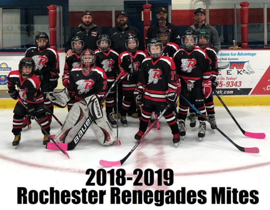 New England Hockey League 2019 Picture_9.jpg