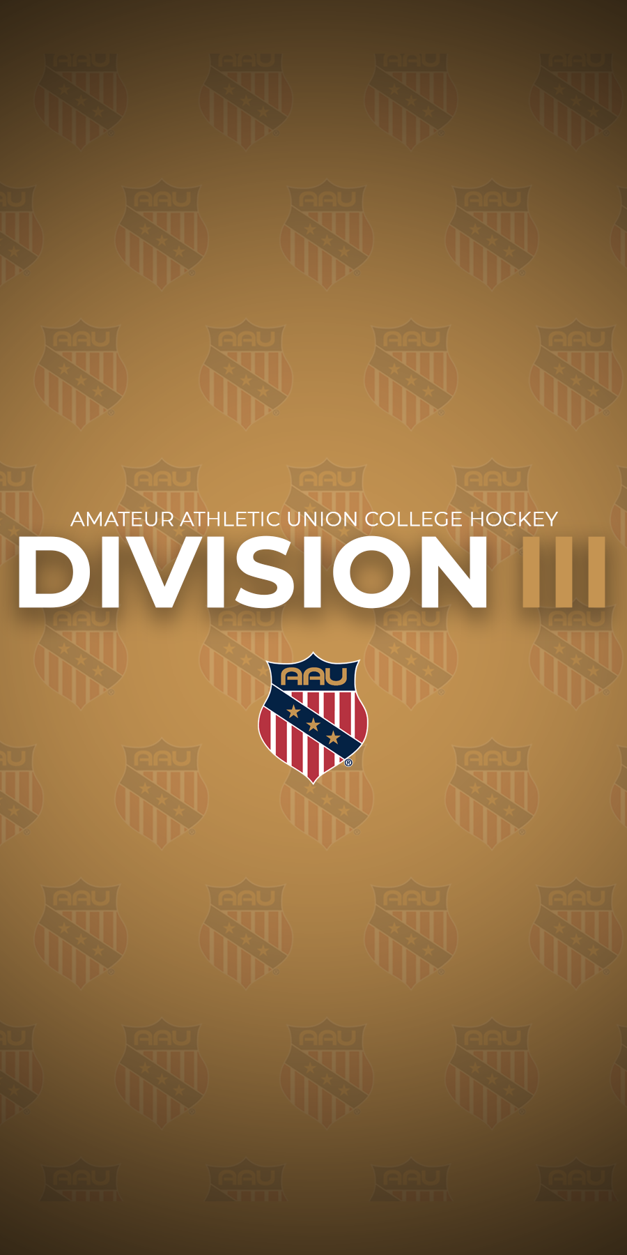 Division 3