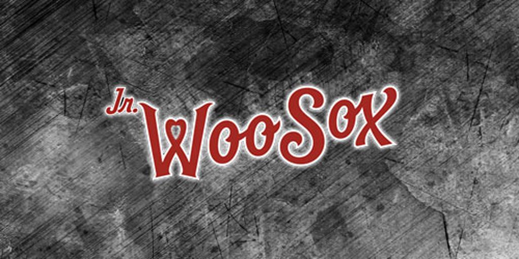 jr-woosox-aau_large