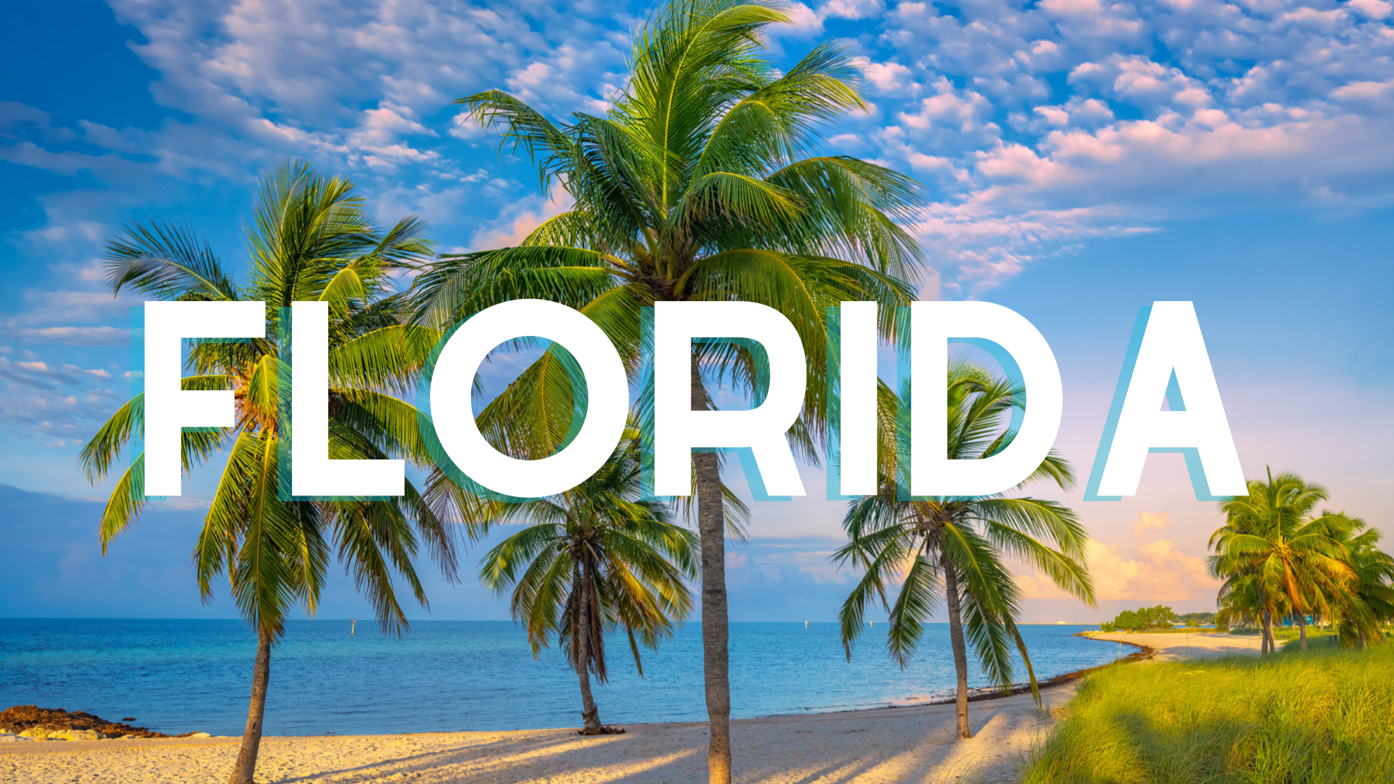 Florida Graphic
